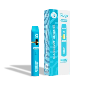 Injoy Disposable